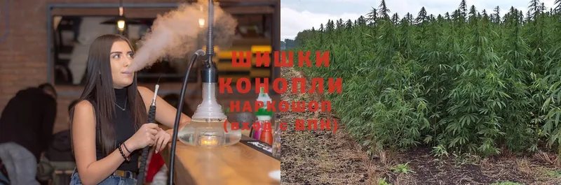 Канабис Bruce Banner  Асино 